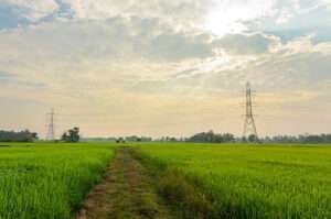 Las servidumbres en Bogotá